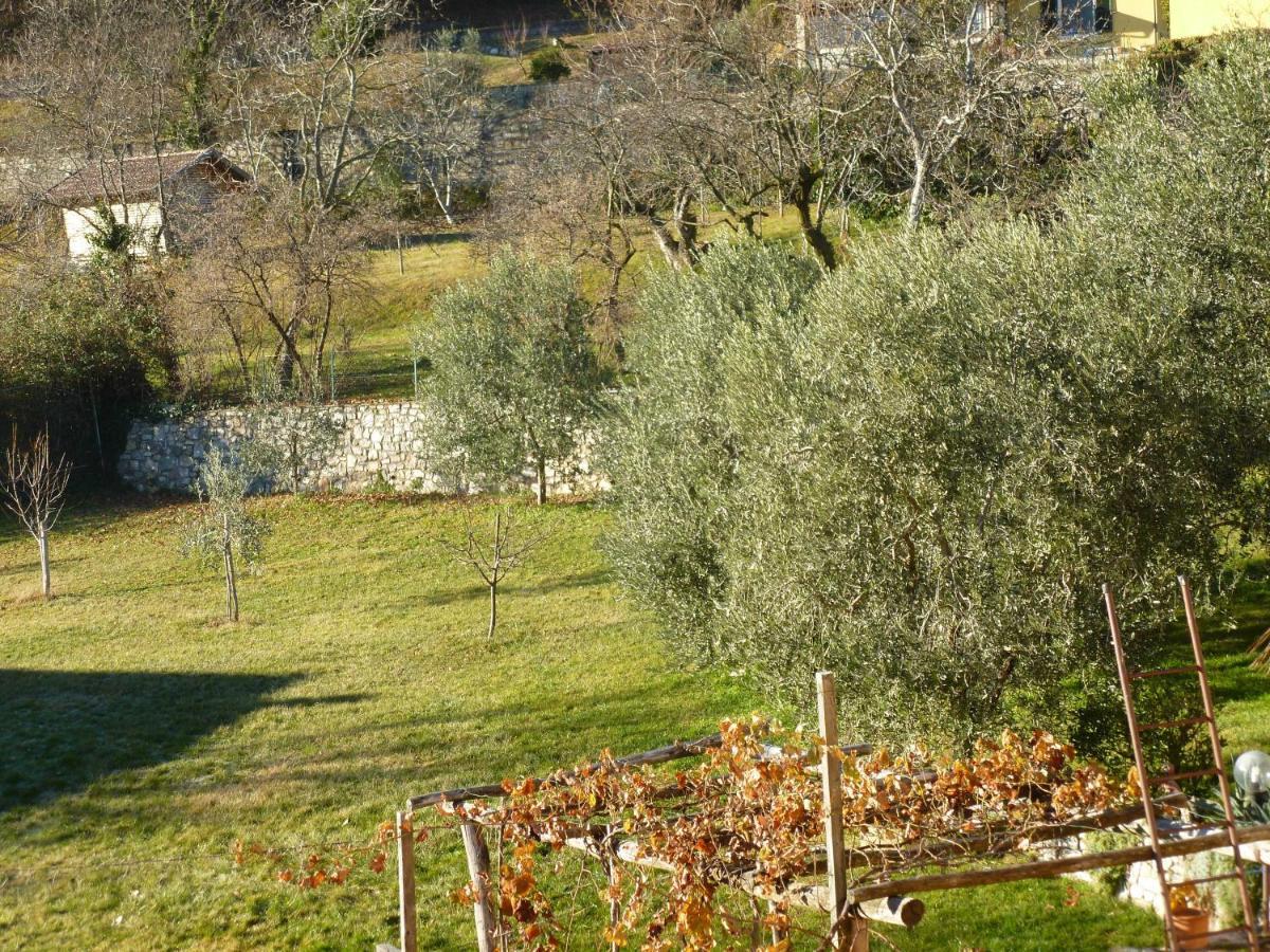 Apartament Casa Teodoro - Gelsomino, Ulivi & Orchidea Tignale Zewnętrze zdjęcie