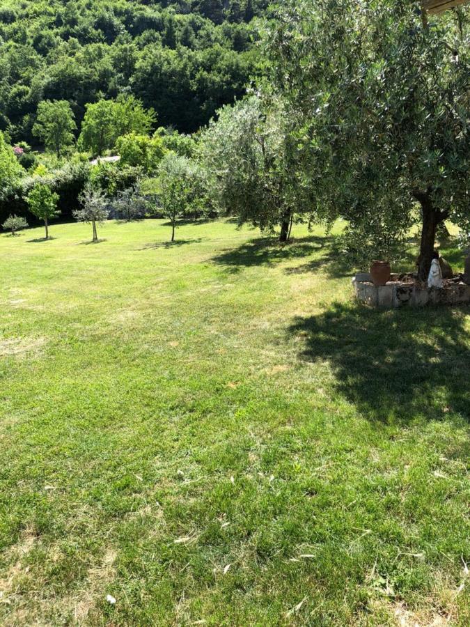 Apartament Casa Teodoro - Gelsomino, Ulivi & Orchidea Tignale Zewnętrze zdjęcie