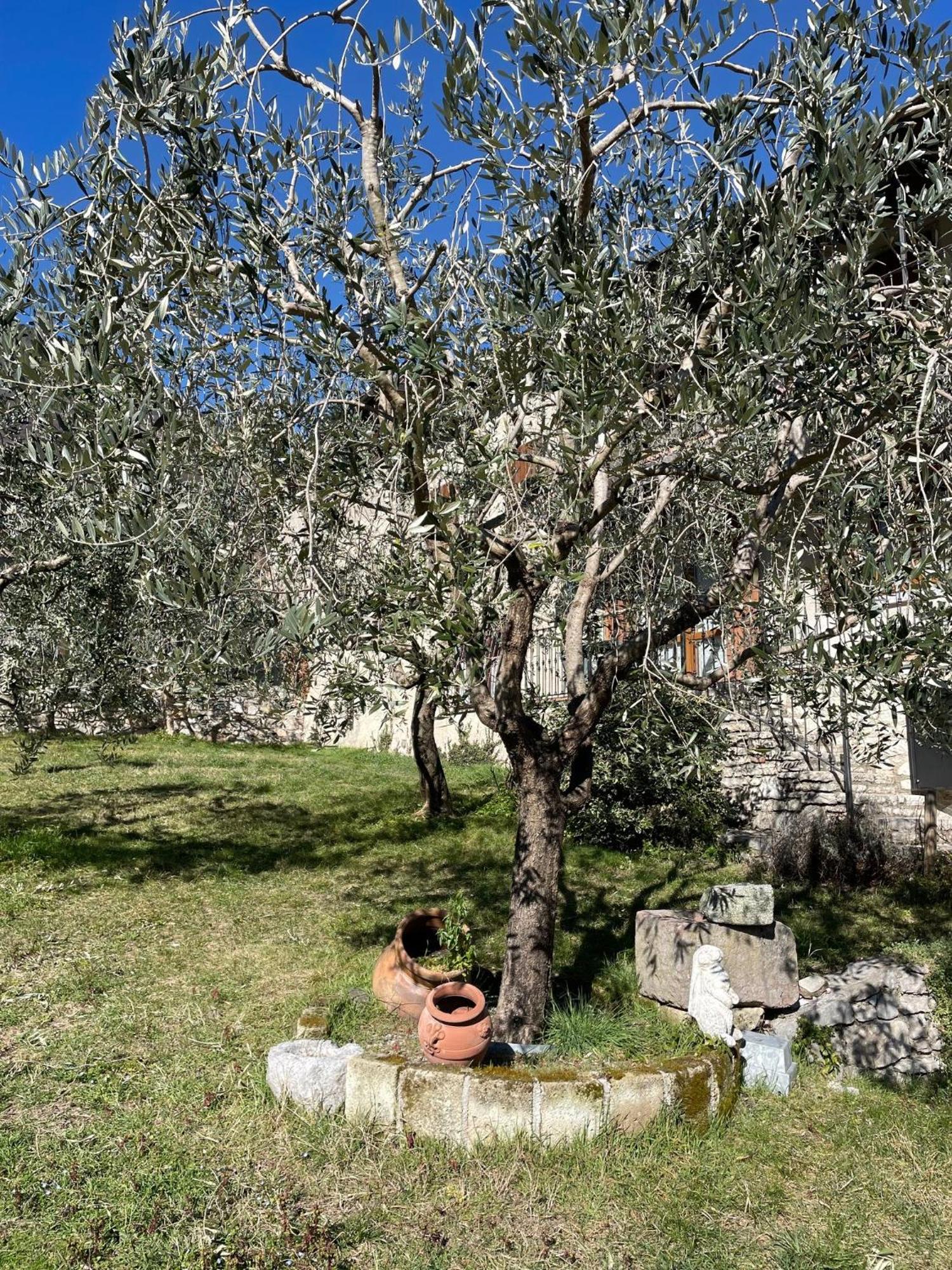 Apartament Casa Teodoro - Gelsomino, Ulivi & Orchidea Tignale Zewnętrze zdjęcie